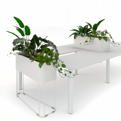 Grove Planter in Office